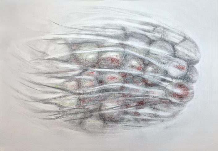 Dense agitation